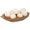 (9 Pcs) Large Ostrich Egg Shells Decorative Bowl