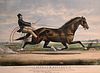 Currier and Ives 
"Trotting Stallion, George M. Patchen, Jr. of California"
1866
lithograph in colors on paper
inscribed in plate throughout the lower