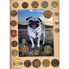 A CARD OF DIV 1 & 3 ASSORTED MATERIAL DOG BUTTONS