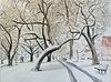 Kim Druker Stockwell, MFA '16, Common Wealth Avenue in Fresh Snow