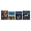 Libros sobre caballos. El Caballo en el Arte Mexicano / The Arabian a Guide for Owners / La Caballería en México. Piezas: 4.