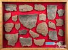 Group of Susquehannock Indian pottery shards
