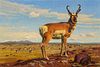 Michael Romney (b. 1977) – Pronghorn Country (2007) 