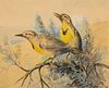 E. William Gollings (1878–1932) – Song Birds (1911) 
