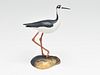 Miniature black necked stilt, Steve Weaver, Cape Cod, Massachusetts.