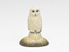 Miniature snowy owl, Frank Finney, Cape Charles, Virginia.