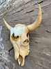 Large Western Buffalo Skull with Painted Scene