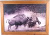 "Buffalo Bulls" 1972 H. Hettick Silver Gelatin
