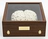 Jane Southgate 'Knitted Brain' Sculpture