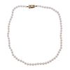 Mikimoto 18K Gold Pearl Classic Necklace