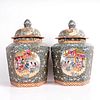 Pair of Large Chinese Porcelain Decorative Urn Ginger Jar