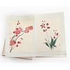 Deluxe Album of Chinese Silk Flower Paintings  