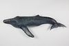 Vintage Carved and Painted Wood Humpback Whale Plaque