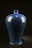 Chinese Porcelain Meiping Vase