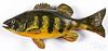 Carved and painted fish trophy plaque, mid 20th.