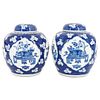 Pair of Chinese Blue & White Porcelain Ginger Jars
