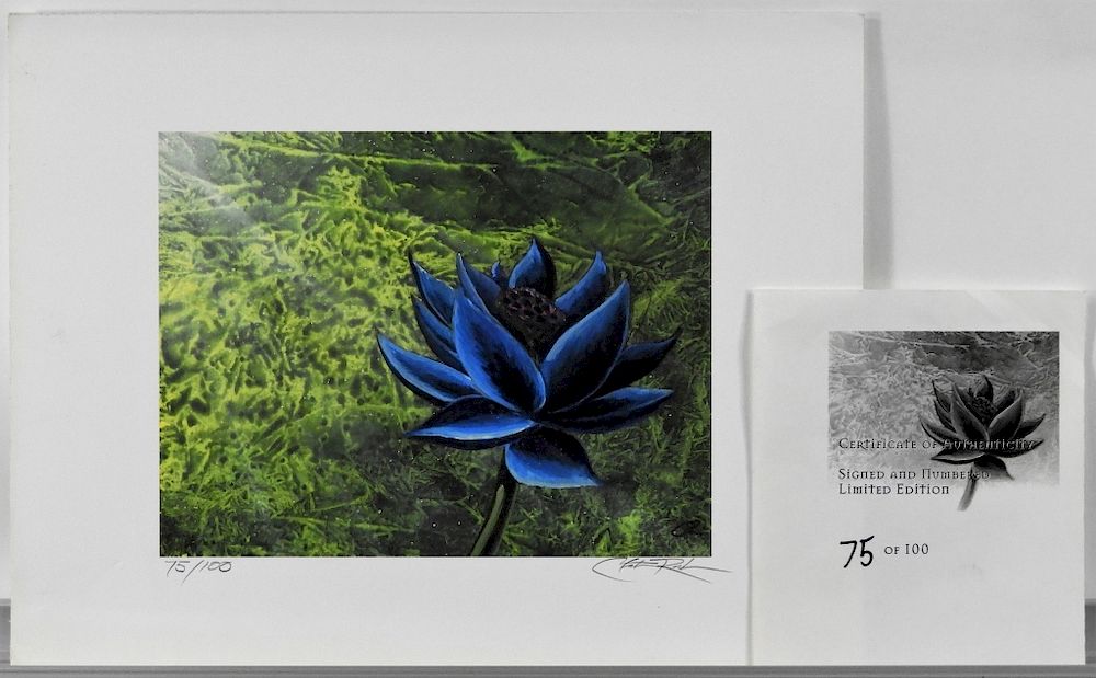 Christopher Rush Magic The Gathering Black Lotus sold at auction 