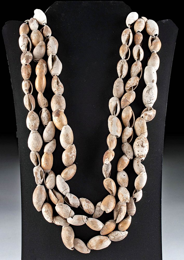 Santo Domingo Pueblo Shell Necklace - Four Winds Gallery